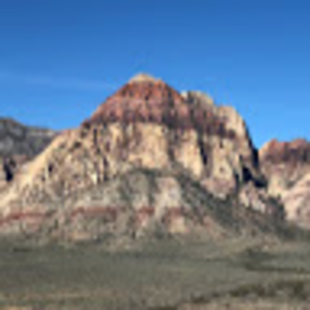 Meet your Posher, Reagan